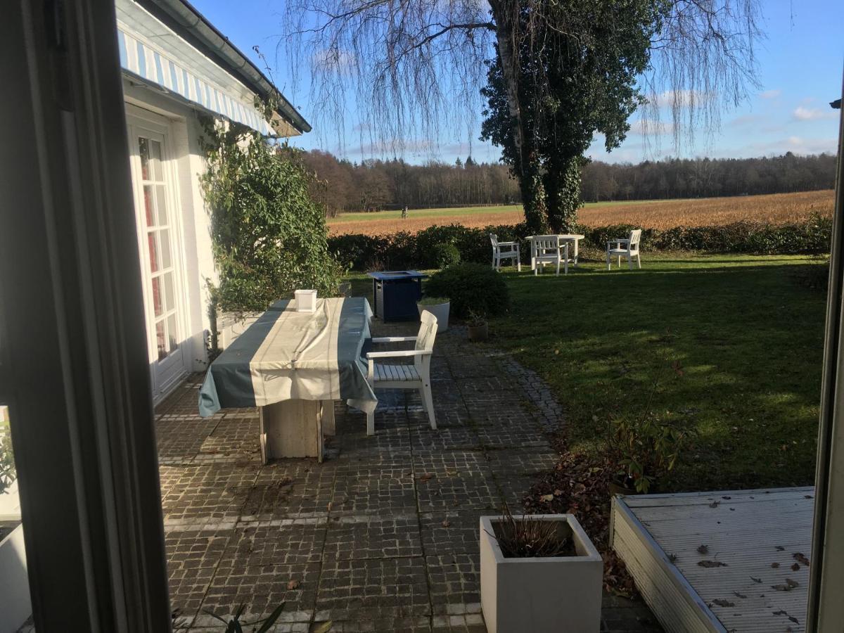 Budget-Unterkunft Im Wunderschonen Haus Mit Herrlichem Panoramablick 뤼네부르크 외부 사진