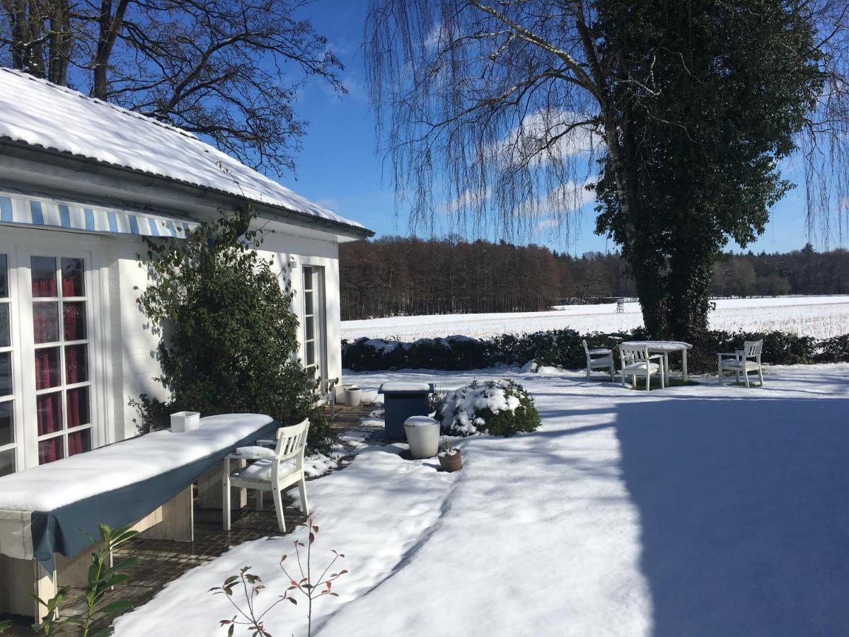 Budget-Unterkunft Im Wunderschonen Haus Mit Herrlichem Panoramablick 뤼네부르크 외부 사진