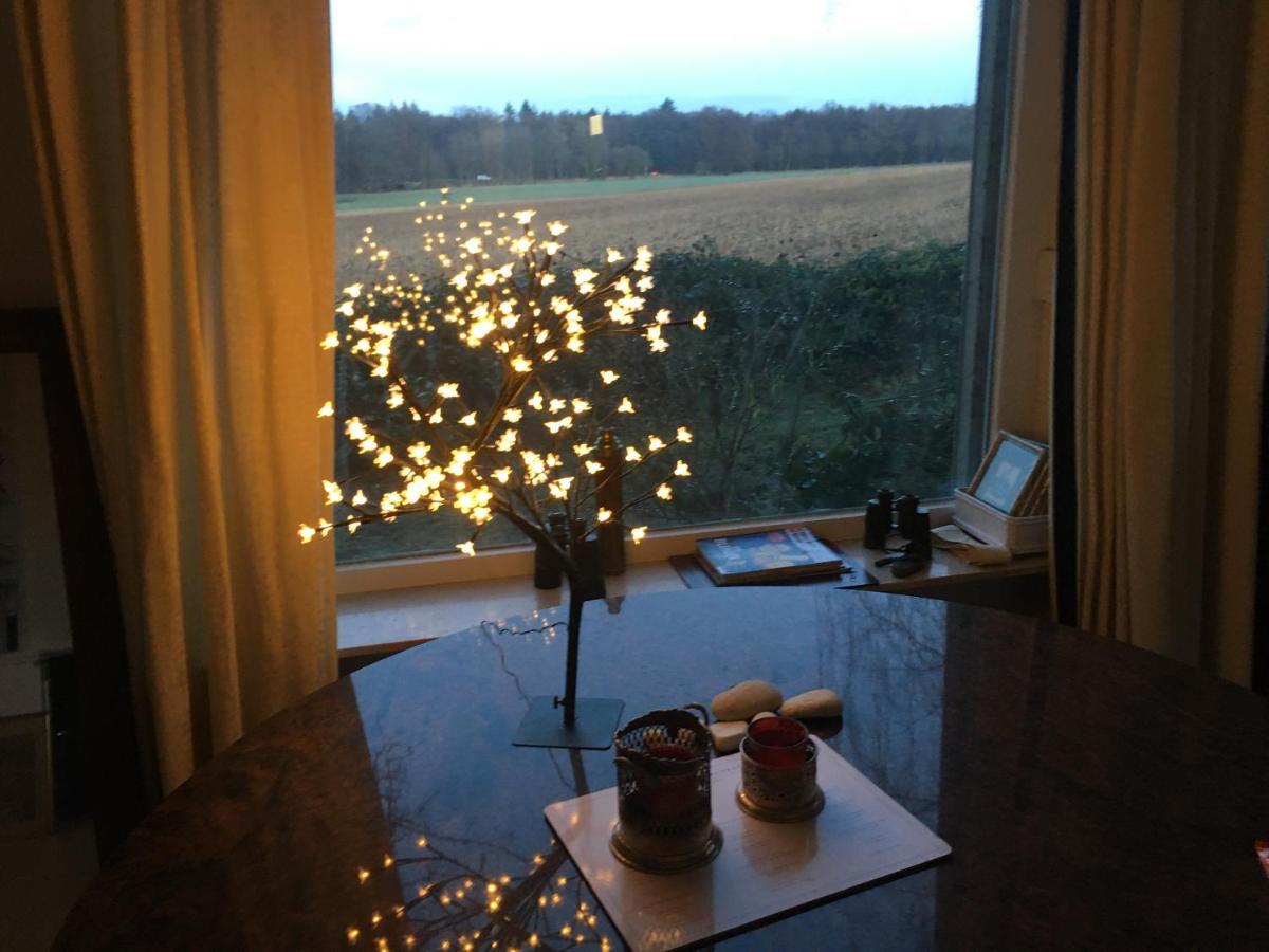 Budget-Unterkunft Im Wunderschonen Haus Mit Herrlichem Panoramablick 뤼네부르크 외부 사진